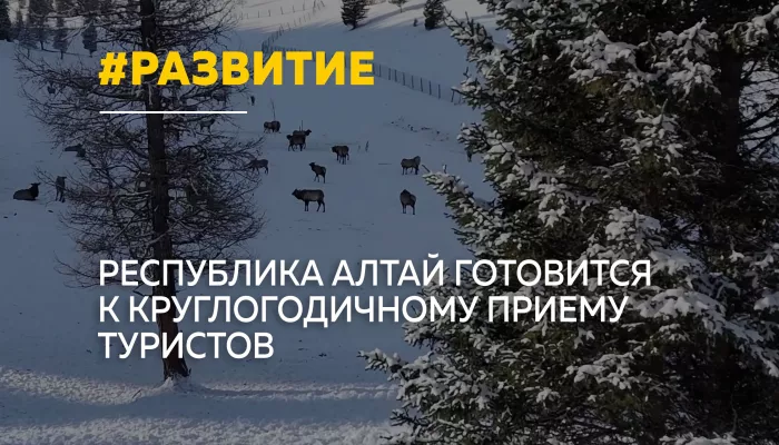 Республика Алтай переходит на круглогодичный туризм: бизнес готовится к зиме