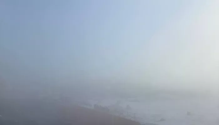 Густой туман накрыл улицы Барнаула ранним утром. Фото