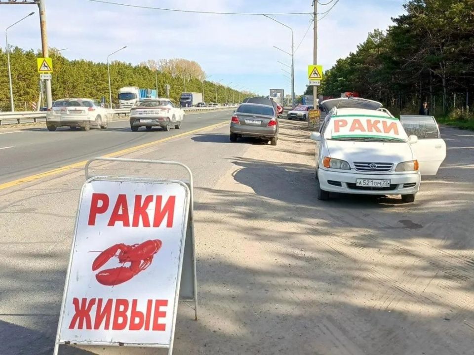 Незаконная торговля на Правобережном тракте