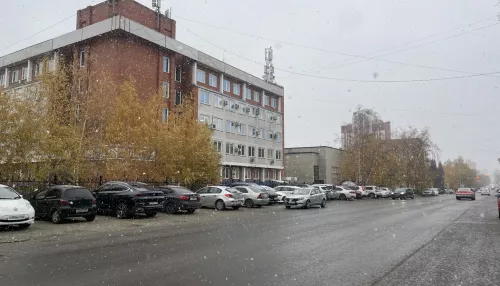 Снег и до +8: дождливые выходные ждут жителей Алтайского края
