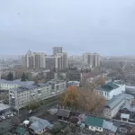 Первый снег пролетел над Барнаулом: фото и прогноз