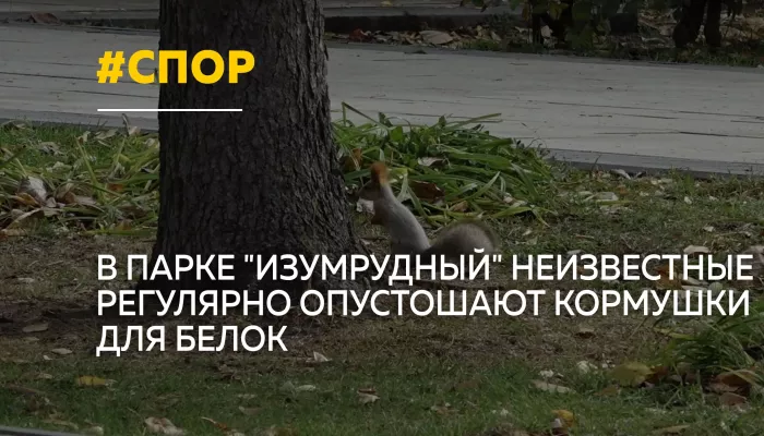 В Барнауле разгорелся спор о кормлении белок в парке Изумрудный