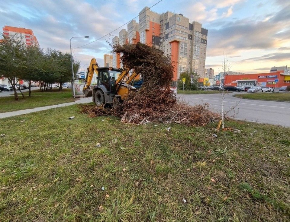 Почти 10 тысяч барнаульцев вышли на третий "Чистый четверг"