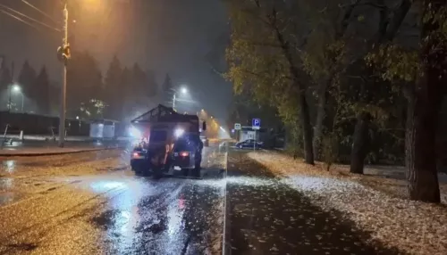 Дорожники обрабатывают от гололеда улицы и тротуары Барнаула