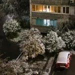 Снег, гололед и ветер до 25 м/с: какой будет погода в Алтайском крае 21-23 октября