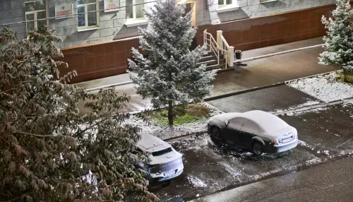 Зимняя сказка: улицы Барнаула засыпало первым снегом. Фото