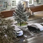 До -5 и мокрый снег: предварительный прогноз погоды на конец октября в Алтайском крае