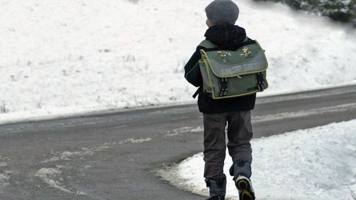 Десятилетний мальчик пропал по дороге из школы в Свердловской области