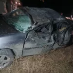 Молодой водитель на Toyota разбился в Республике Алтай, врезавшись в дерево