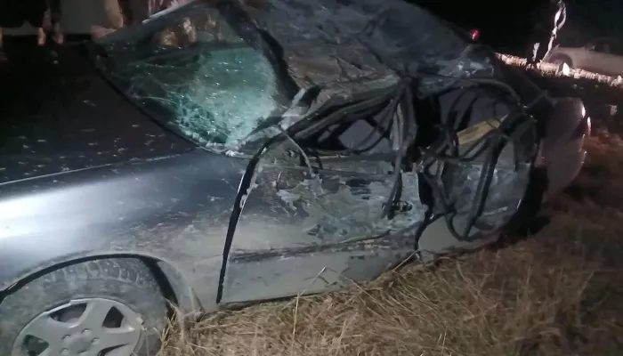 Молодой водитель на Toyota разбился в Республике Алтай, врезавшись в дерево