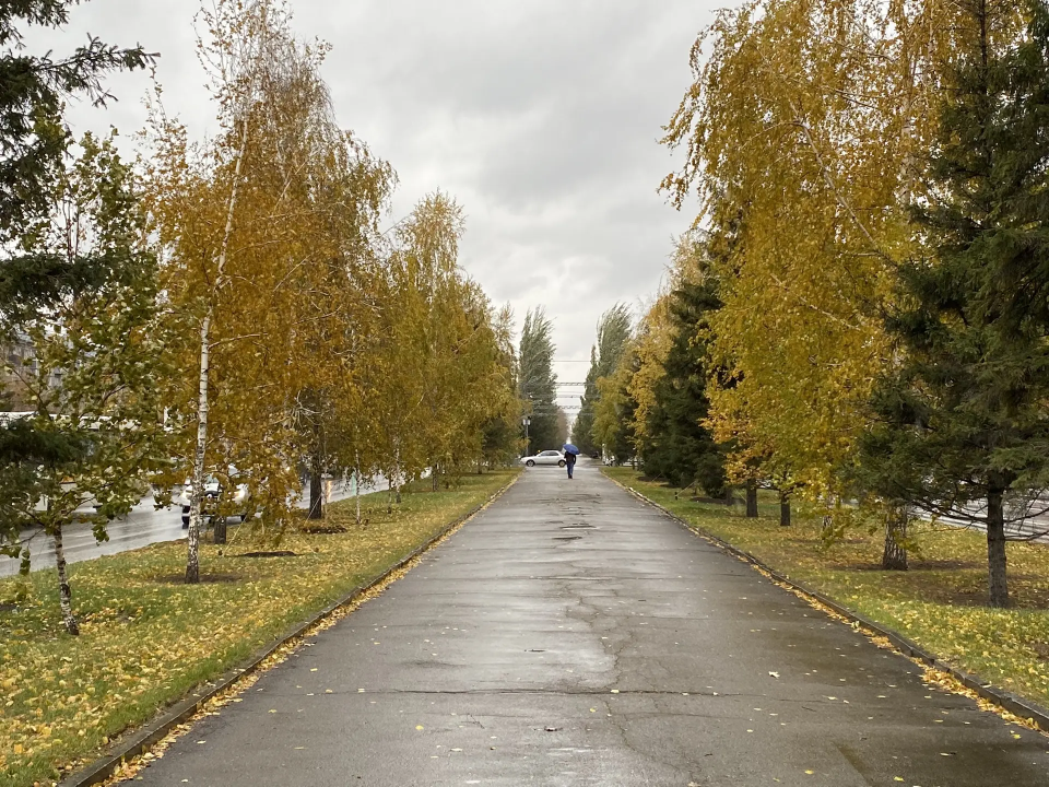 Осень, дождь, листья. Погода