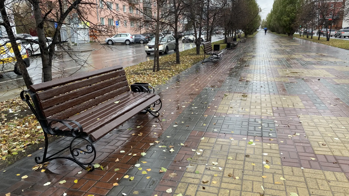 Осень, дождь, листья. Погода