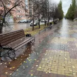 Алтайский край встретит ноябрь мокрым снегом и потеплением до +10 градусов