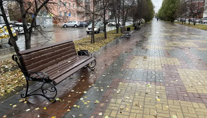 Алтайский край встретит ноябрь мокрым снегом и потеплением до +10 градусов