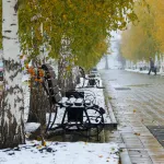 Барнаул побелел среди осени: город накрыл снегопад. Фоторепортаж