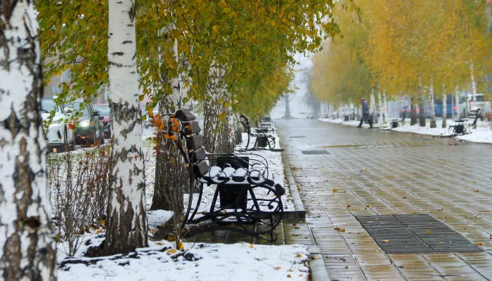 Барнаул побелел среди осени: город накрыл снегопад. Фоторепортаж