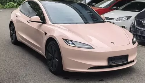 Розовый электрокар Tesla с пробегом 23 тысячи километров продают в Барнауле