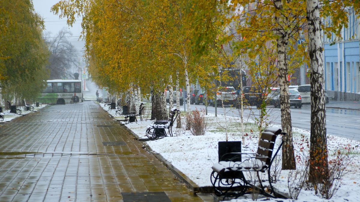Осень. Октябрь. Погода. Снег.