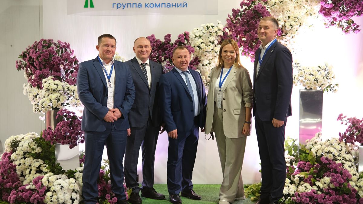 Запуск промышленного производства хризантем ГК "Горкунов" в Алтайском крае