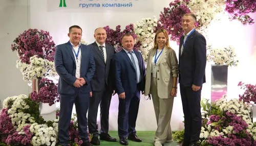 От микроклонов до витрины: как в Алтайском крае выращивают хризантемы