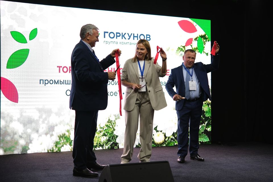 Запуск промышленного производства хризантем ГК "Горкунов" в Алтайском крае