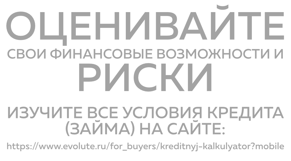 Дисклеймер