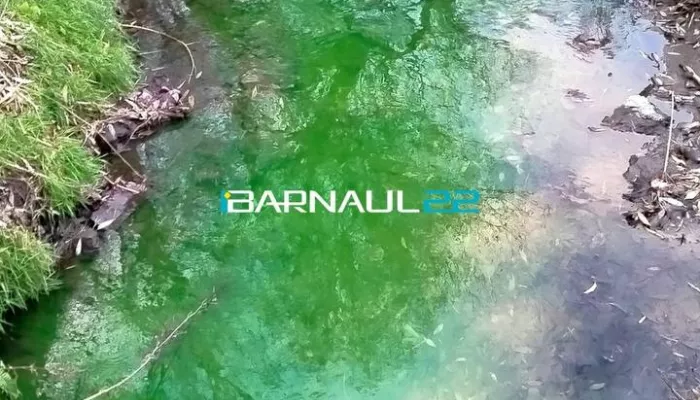 Жители Барнаула заметили изумрудную воду в Пивоварке