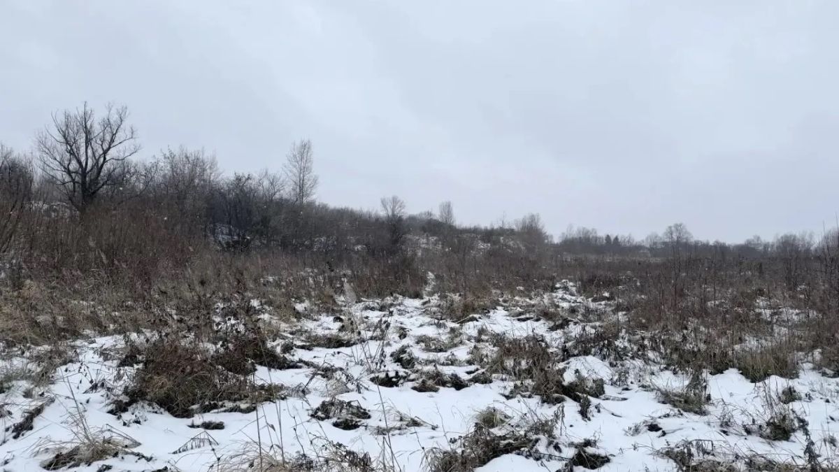 Тело нашли вблизи проезда Авиаторов в Ачинске