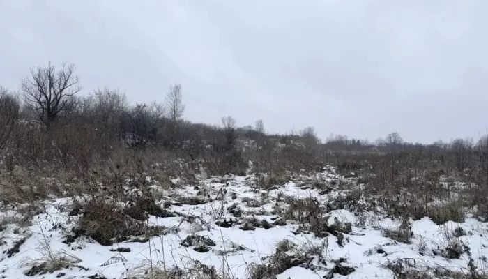 16-летнюю студентку нашли мертвой на пустыре после визита к знакомому