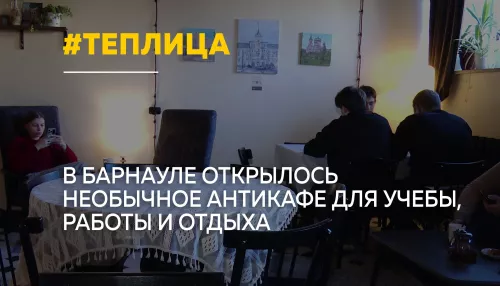 В Барнауле набирает популярность новое пространство Теплица