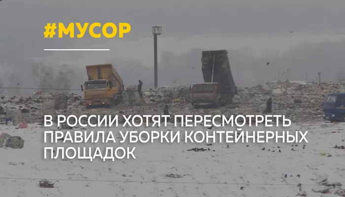 В России предложили изменить правила содержания мусорных площадок