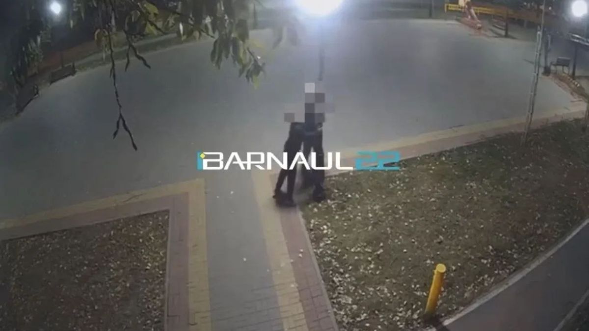 Подростки, разгромившие аллею на улице Георгия Исакова