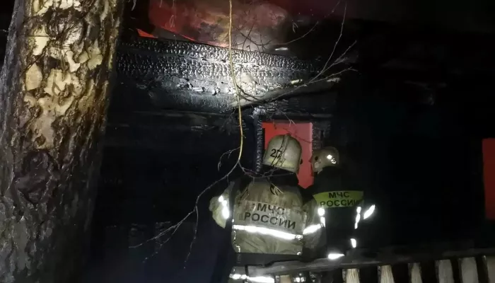 Мужчина погиб во время ночного пожара в селе Зудилово Алтайского края