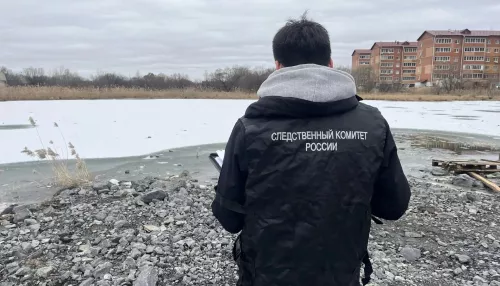 Два маленьких брата погибли, провалившись под тонкий лед в Хабаровском крае