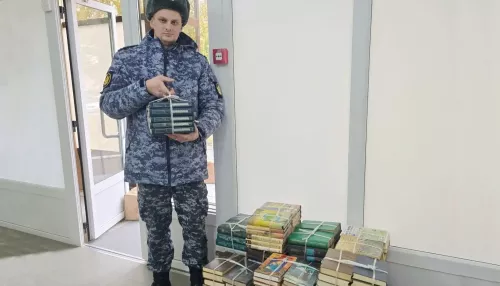 Гоголь, Шукшин, Буссенар: алтайской колонии подарили восемь сотен книг