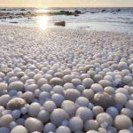 Пляж в Финляндии покрылся ледяными шарами из-за редкого природного явления