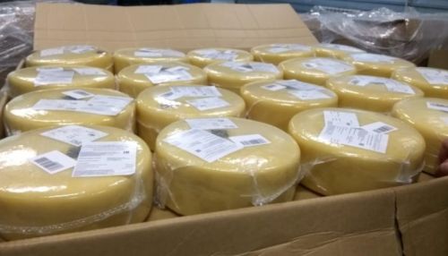 Более 30 килограммов санкционного сыра пытались завезти в Алтайский край