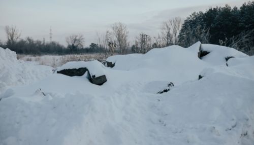 Фоторепортаж: зимой территория Лесного пруда в Барнауле превращается в свалку