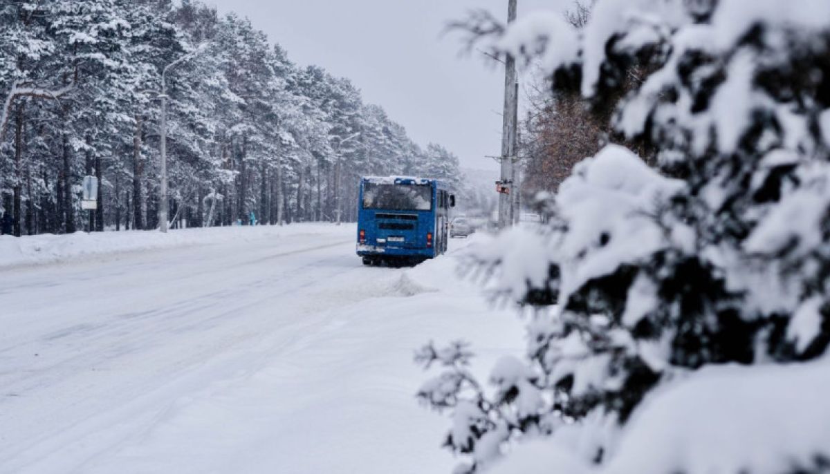 Автобус на трассе