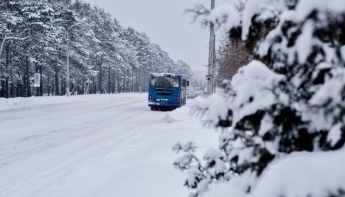 Пассажирский автобус загорелся ночью в мороз на трассе в Алтайском крае