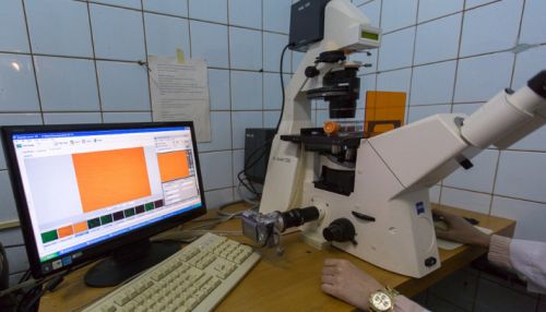 Создана замена литиевым батареям