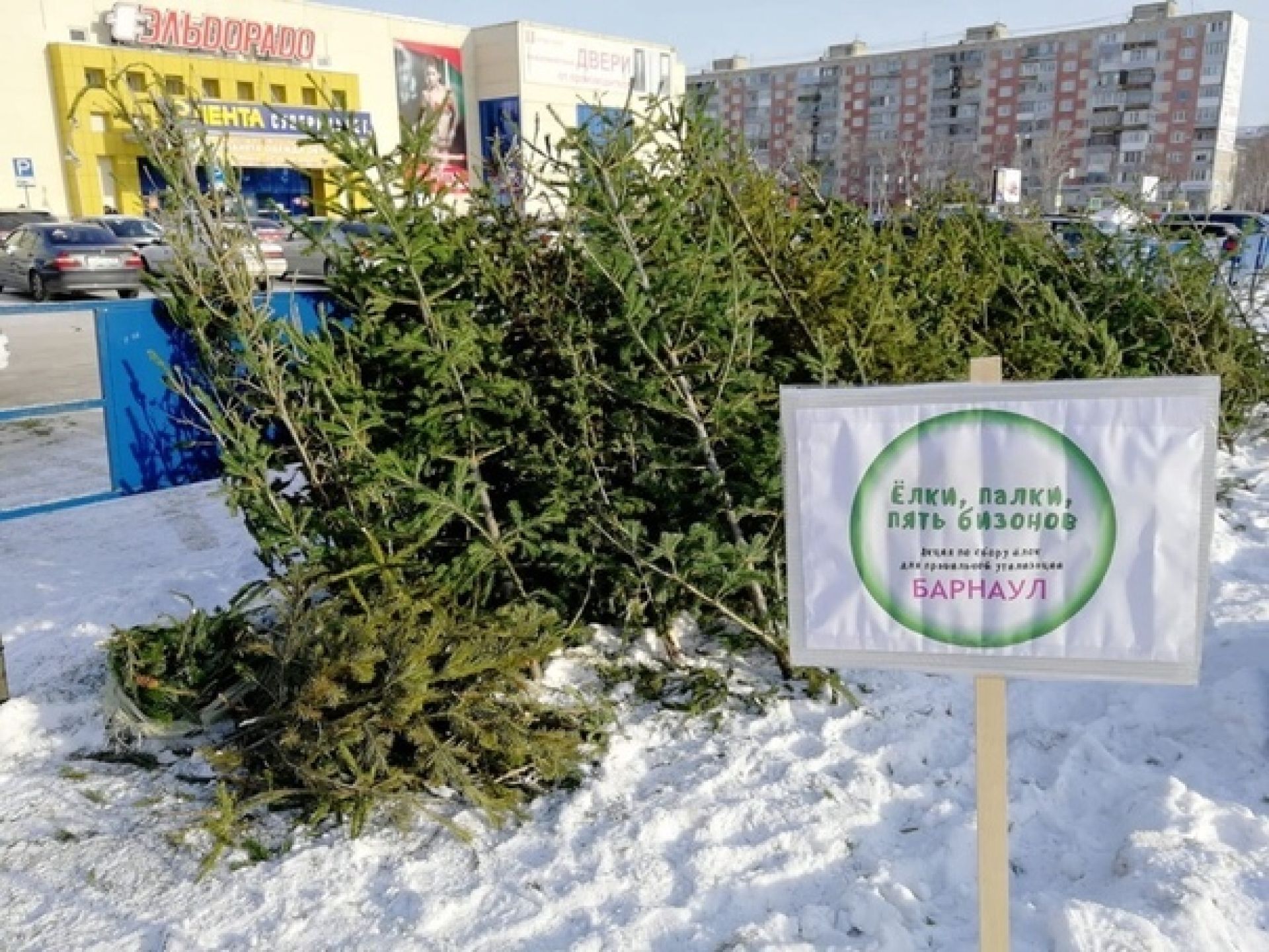 Приемов барнаул. Подкормка для елки новогодней. Положение акции елки-палки пять бизонов.