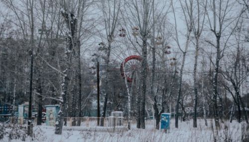 Зимняя сказка: фотопрогулка по заснеженному парку Изумрудный