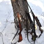 Штраф в 1 млн рублей грозит трем алтайским браконьерам за убийство лосей