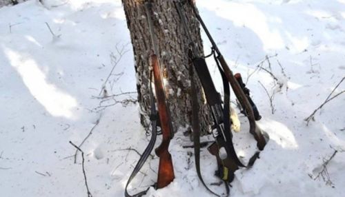 Штраф в 1 млн рублей грозит трем алтайским браконьерам за убийство лосей