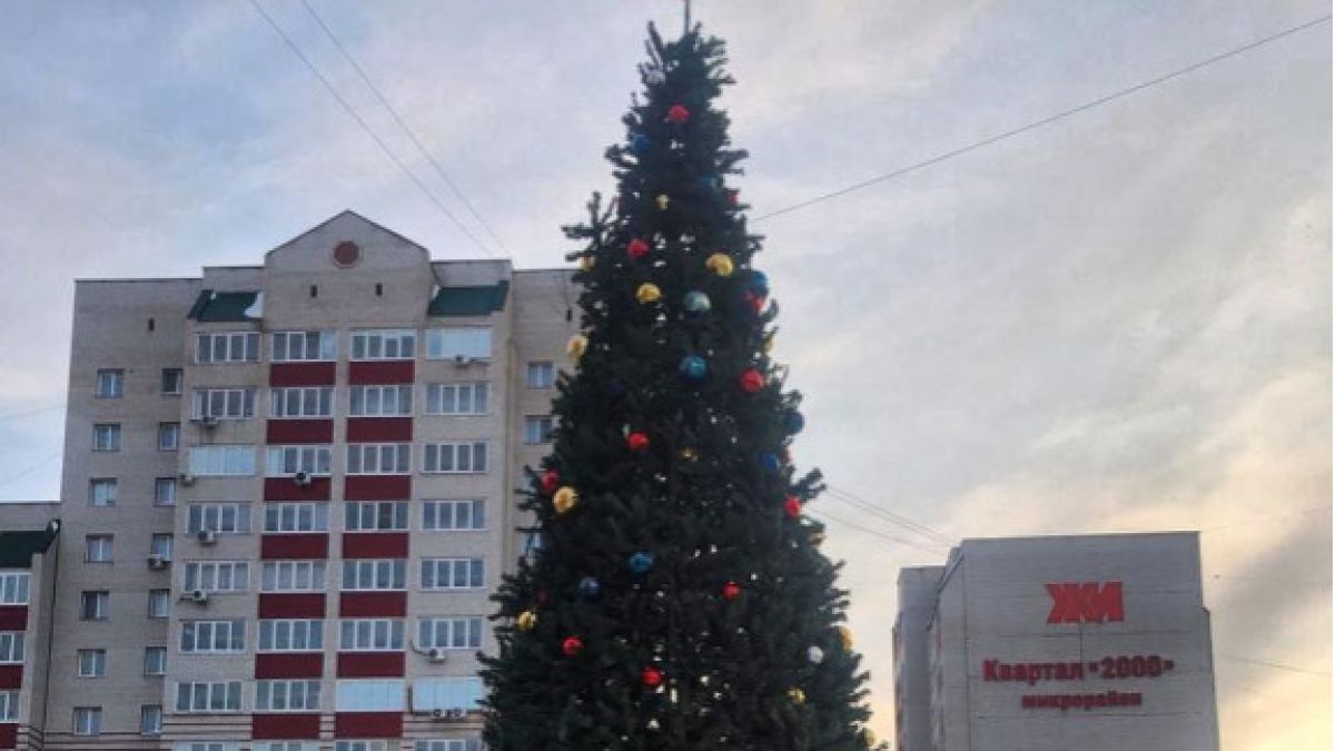 Барнаульский Дед Мороз позвал друзей наряжать елку у ТЦ