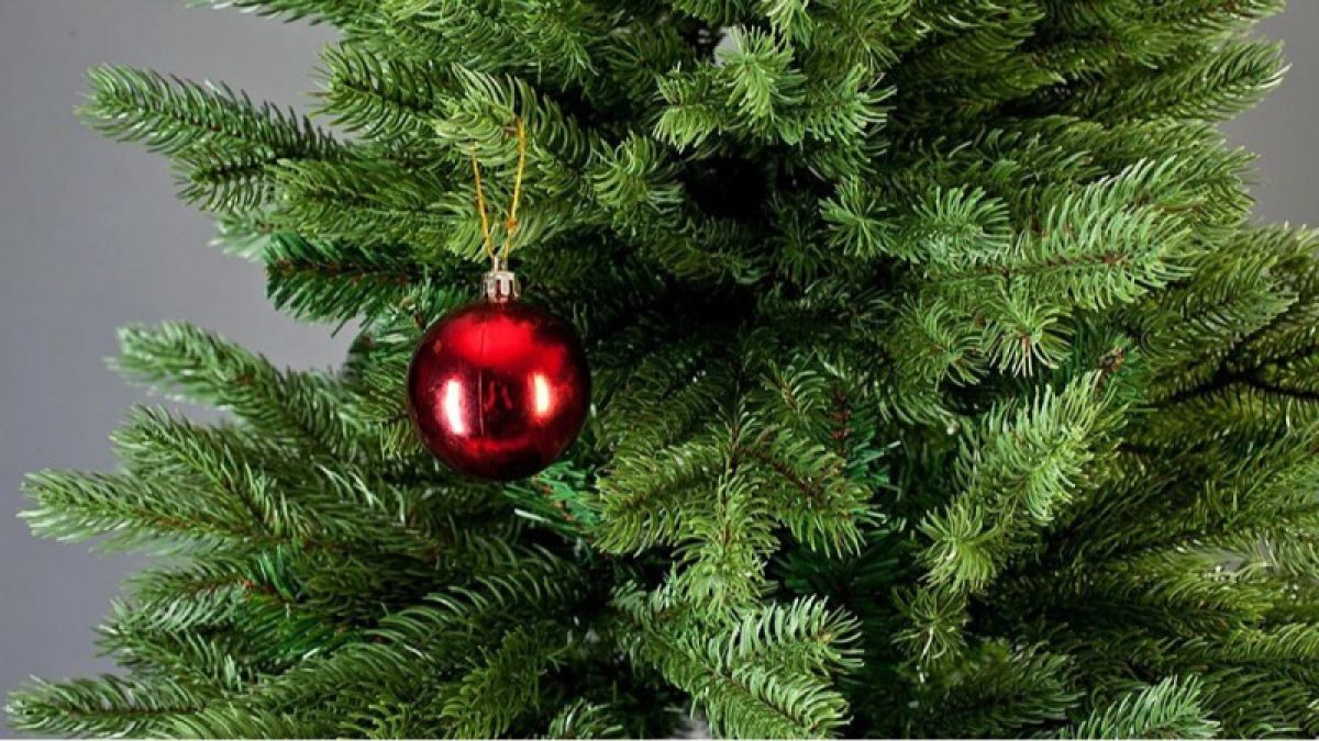 Живая или искусственная: как не ошибиться с выбором елки на Новый год?