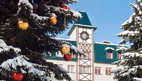 Алтайский край вошел в топ-3 лучших регионов Сибири для отдыха на Новый год
