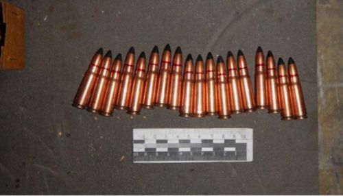 Браконьера из алтайского села будут судить за убийство сибирской косули