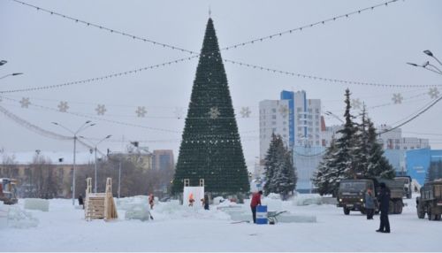 Барнаульская елка на площади Сахарова признана одной из самых высоких в России